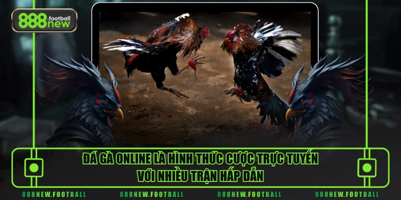 Đá Gà Online - Hòa Vào Không Khí Sôi Động Với Các Trận Chiến Đỉnh Cao 1 Đá gà online là hình thức cược trực tuyến với nhiều trận hấp dẫn