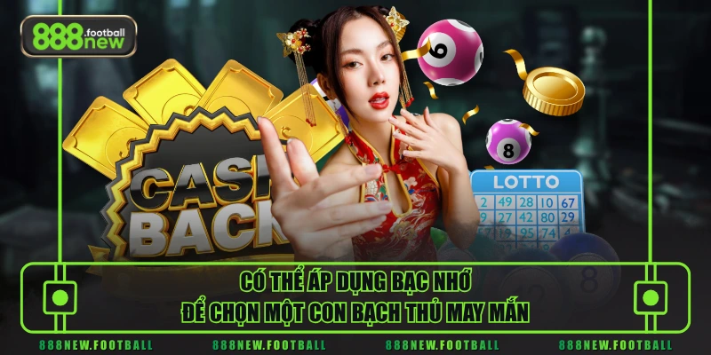 Bạch Thủ Lô Là Gì - Bí Quyết Chọn Và Nuôi Chuẩn Xác Nhất 2026 2 Có thể áp dụng bạc nhớ để chọn một con bạch thủ may mắn